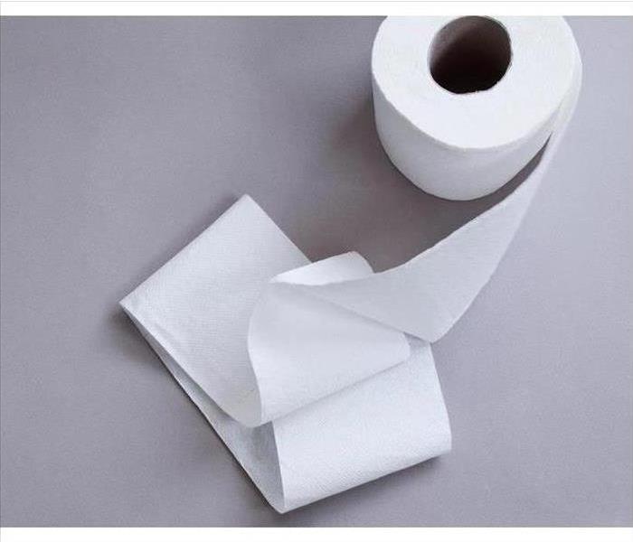 Photo of toilet paper