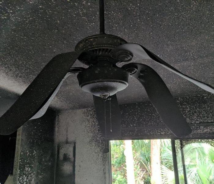 Melted Ceiling Fan