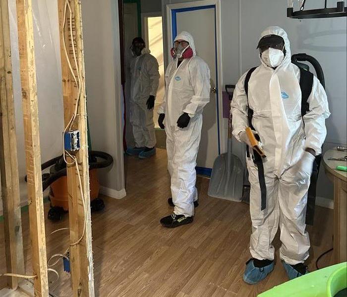 SERVPRO experts bringing the proper gear to tackle a mold remediation job